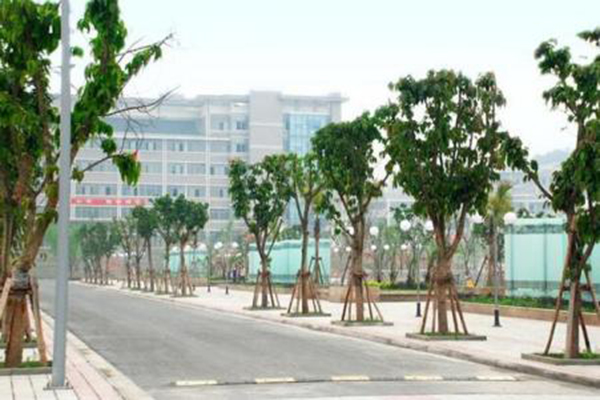 中?？梢灾苯由究茊幔? /></a>
                    </div>
                                        <div   id=