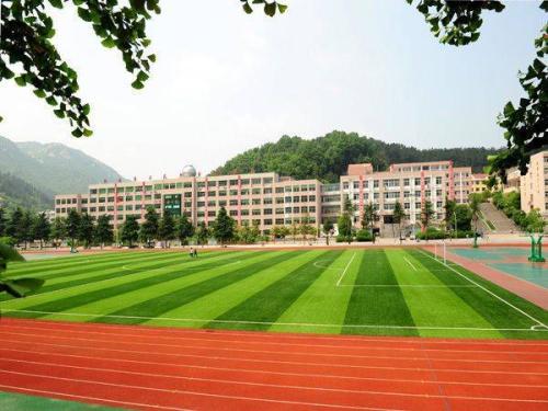 2019年開設醫學營養專業的專科學校有哪些