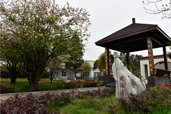 學(xué)校環(huán)境