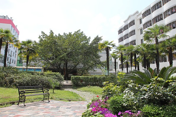 龍泉校區校園一角