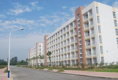 職業技術排名