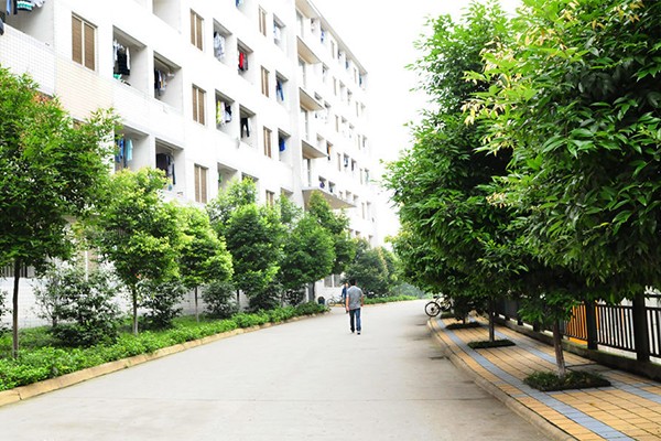 職業(yè)學校怎么樣