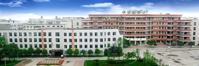 成都市華陽職業中學鳥瞰圖