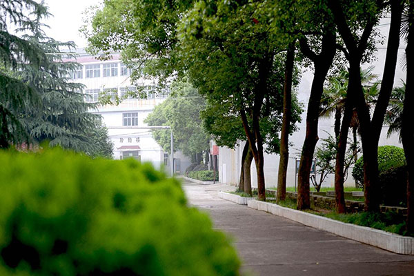 學院排名