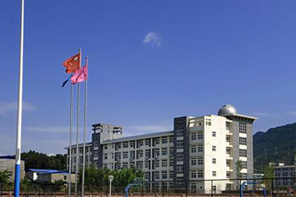 職高