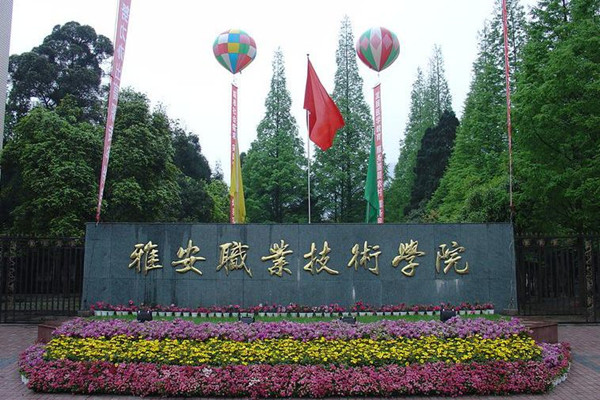 雅安職業技術學院招生計劃