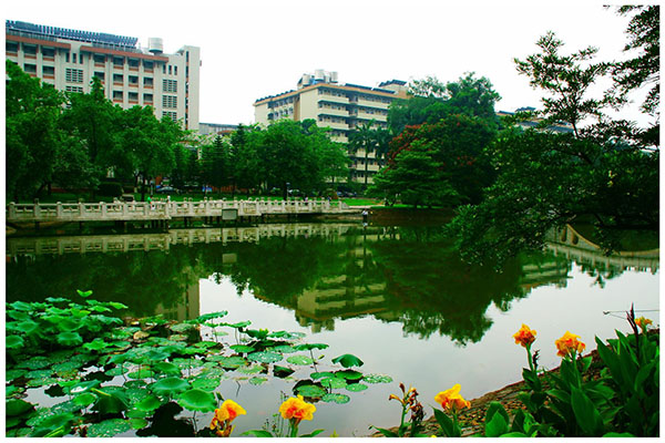 樂山職業學校排名